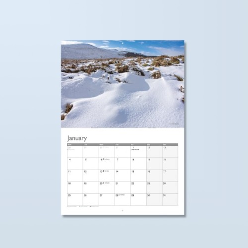 Stapled Wall Calendars